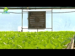 Anti-UV-plastic filmtunnelserre voor hydrocultuursysteem