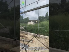 Duurzaam kasproject op Mauritius