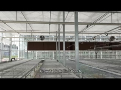 Mesh Wire Greenhouse Grow-tafel Rolling Bank voor zaaien