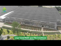 Commercieel multi-span grootfilm kasproject