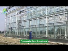 AX-groenhuisproject - Groenhuis voor commercieel glas