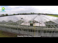 Schoonmaak Venlo glazen kas