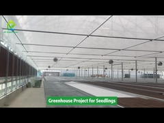 Polytunnelkasproject voor zaailingen