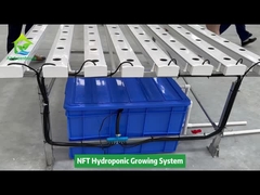 Verticale landbouw Grondloze teelt Hydroponic NFT Square Pipe SystemSystem