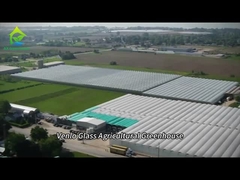 Volledig intelligente glazen kas voor het kweken van tomaten en paprika's