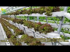 NFT hydrocultuur grondloze teelt A-vormige meerlaagse PVC-voedingsoplossing groentebeplanting