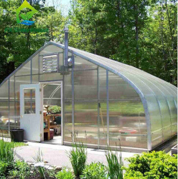 Plantenteelt Groentehuis met een enkele span polycarbonaat PC-plaat met een stabiele structuur en eenvoudige montage