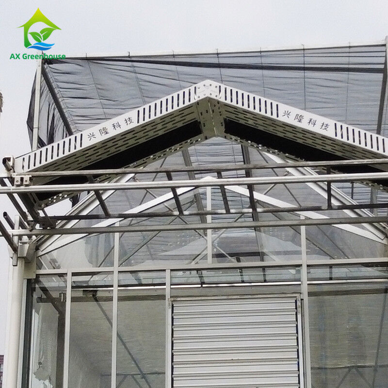 9.6m/10.8m/12m Breedte Aluminium legeringsframe Landbouwglas Venlo Multi-span kas Met driehoekige dakvorming