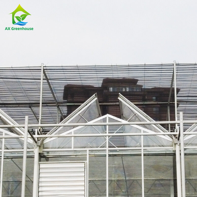 9.6m/10.8m/12m Breedte Aluminium legeringsframe Landbouwglas Venlo Multi-span kas Met driehoekige dakvorming