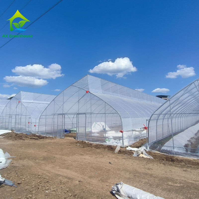 Fabrieksprijs Op Maat Gemaakte Plastic Folie Tunnel Tomaten Kweekkas Kas voor Landbouw