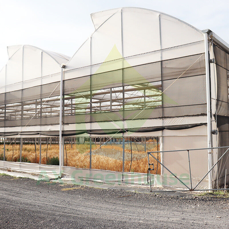 Stalen structuur UV-bestendige film Poly tunnel Multi-span groente kas voor tomaten