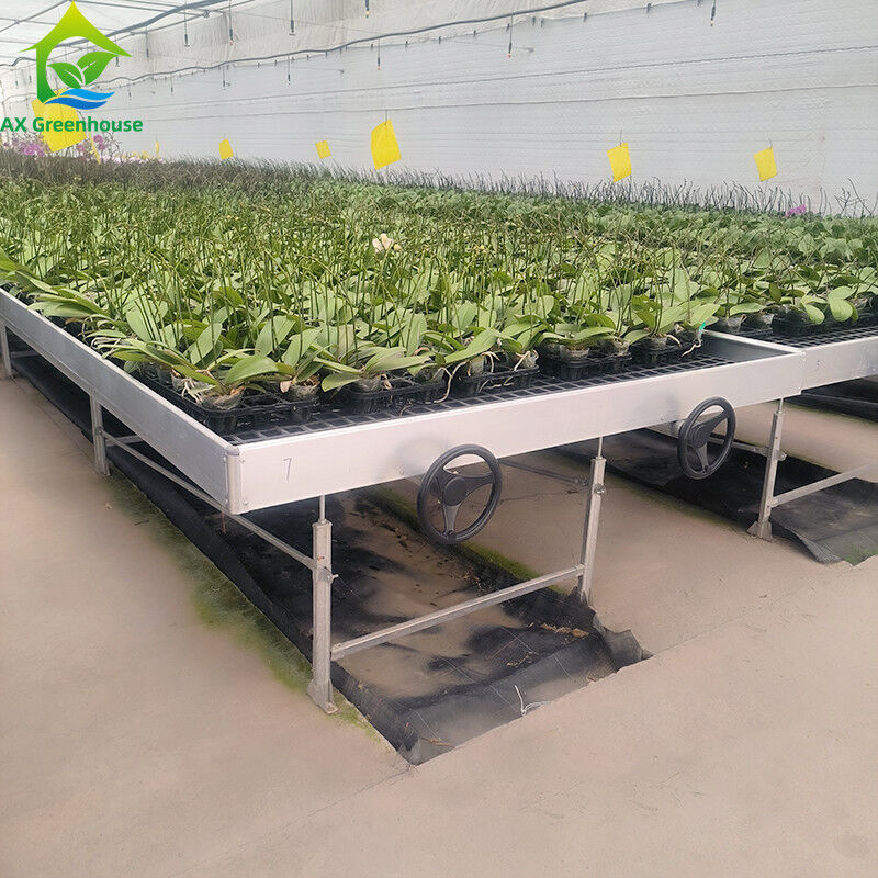 Ebb And Flood Hydroponische draagbare tafel rollende bank voor het kweken van planten in de kas
