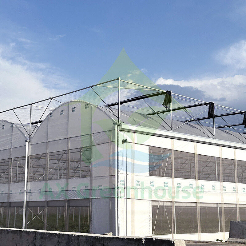Plastic PE Film Multi Span Tomato Poly Tunnel kas voor groenten en fruit met schaduwnet