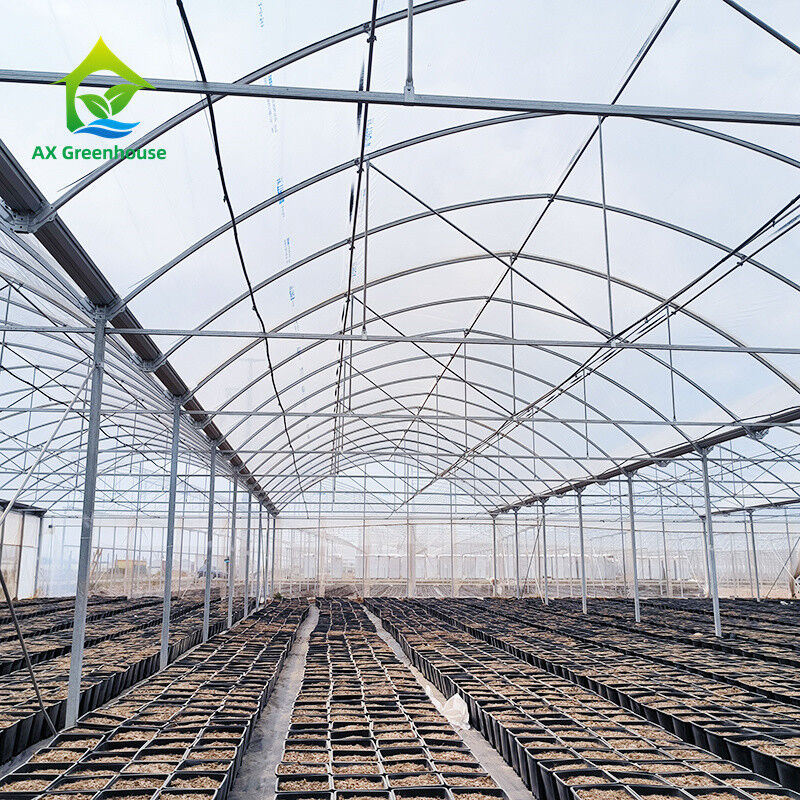 Multi Span Tropical Metal Frame Structure Tomato Poly Tunnel Kas voor groenten en fruit