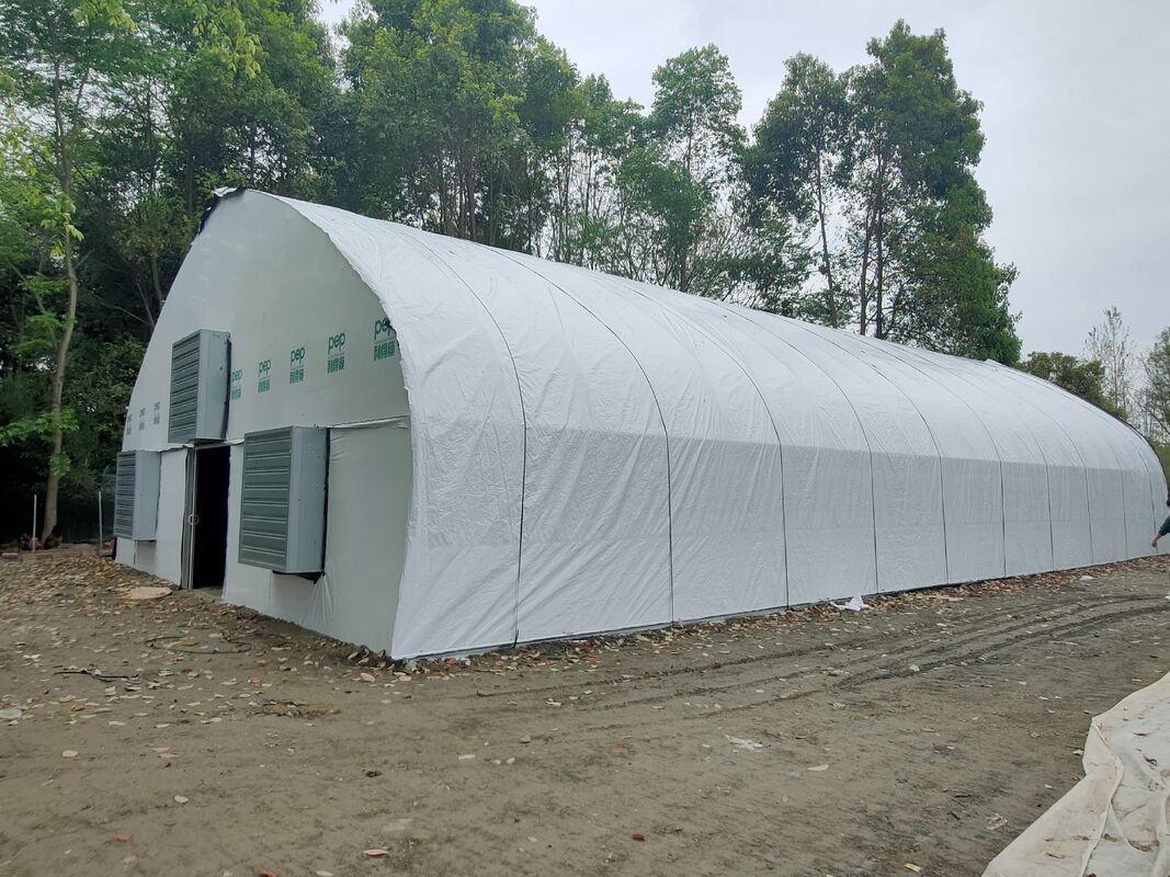 Fabrieksprijs Op Maat Gemaakte Plastic Folie Tunnel Tomaten Kweekkas Kas voor Landbouw