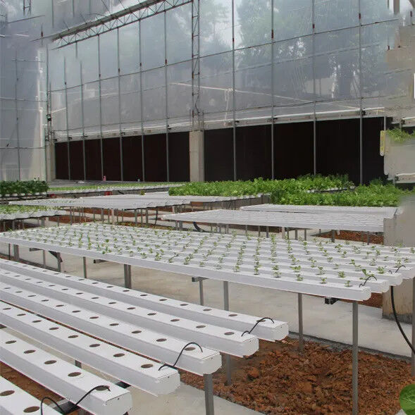 Tuinbouw Circulaire buis Grondloze cultuur Hydroponische NFT-kanaalgroei-systemen voor groei