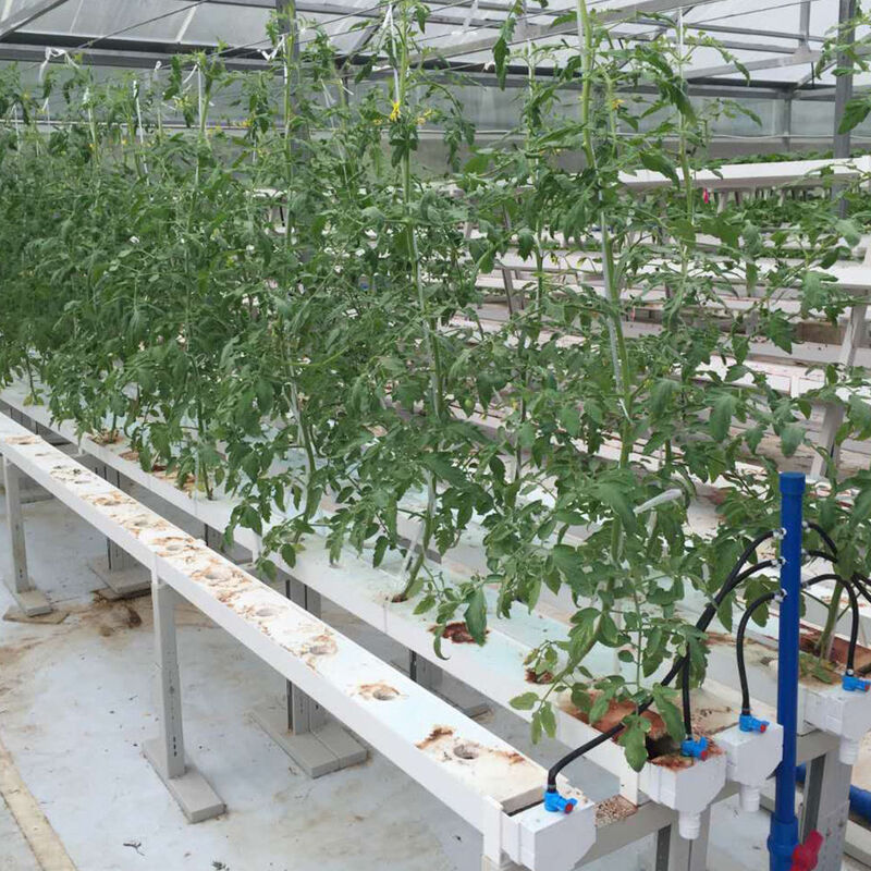 Tuinbouw Circulaire buis Grondloze cultuur Hydroponische NFT-kanaalgroei-systemen voor groei