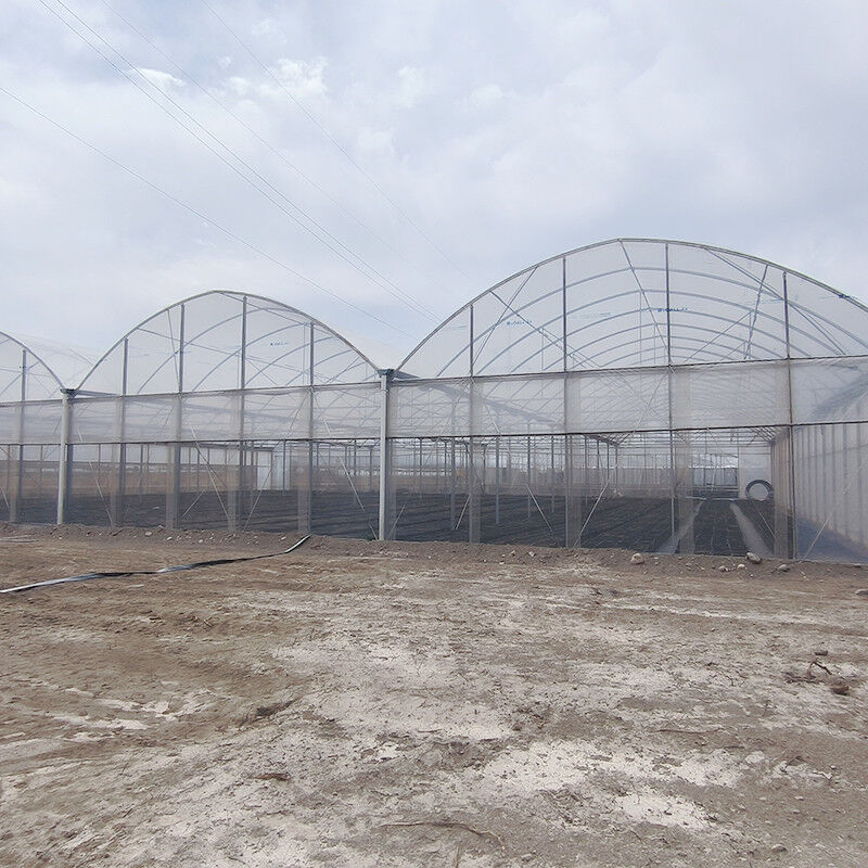 Warm gegalvaniseerde staalstructuur Multi-Span Plastic Film Custom kas met tropische top ventilatie zagtand ontwerp