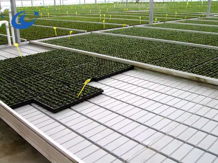 Groentehuis rollende banken groeitafel voor tomatenplant zaaizaad Ebb And Flow irrigatiesysteem