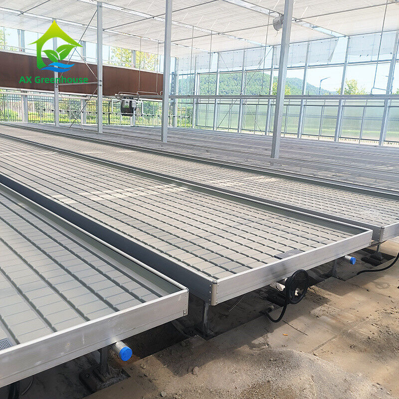Gepersonaliseerde bloemen verbouwen binnen zaadbed kinderopvang verbouwen tafel rollende bank te koop