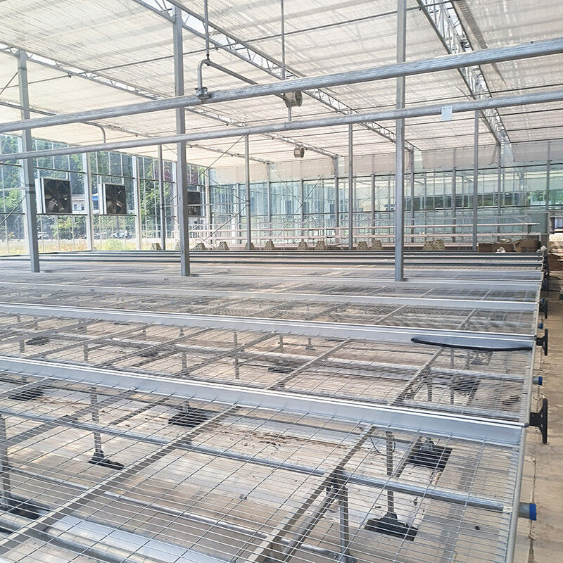 Aangepaste Roltafel voor Kassen met Eenvoudige Constructievoordelen en een Thermisch Verzinkt Stalen Frame