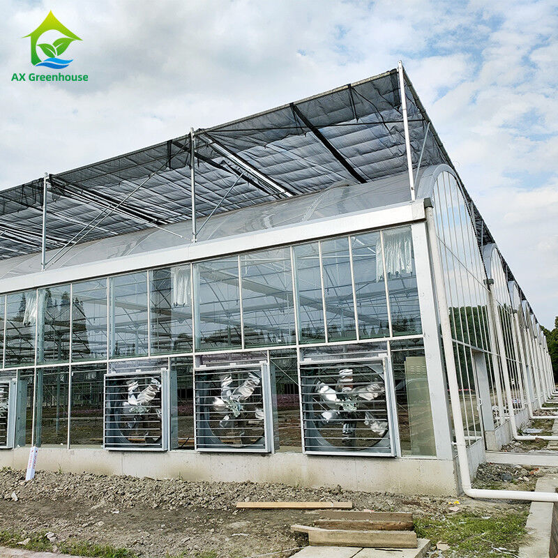 Intelligent besturingssysteem Duurzame kas voor groenten 9,6m/10,8m/12m Breedte