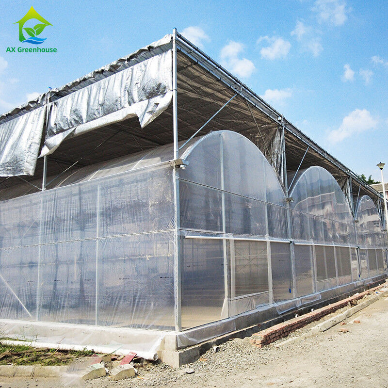 Duurzaam warm gedompeld gegalvaniseerd stalen meervoudig gespannen plastic film Landbouwkas voor fruit