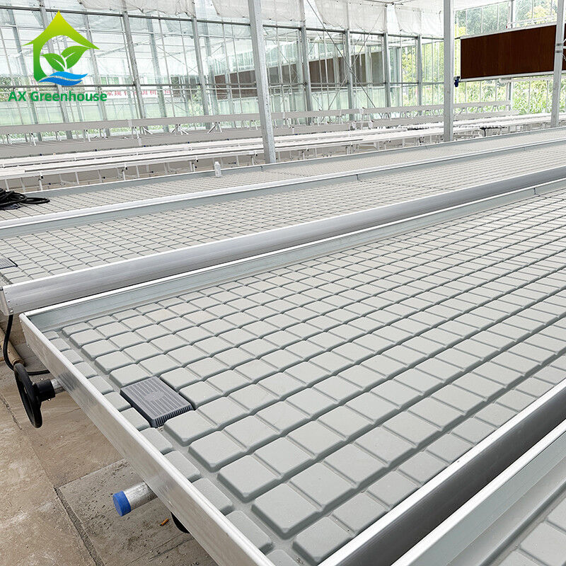 Gepersonaliseerde bloemen verbouwen binnen zaadbed kinderopvang verbouwen tafel rollende bank te koop