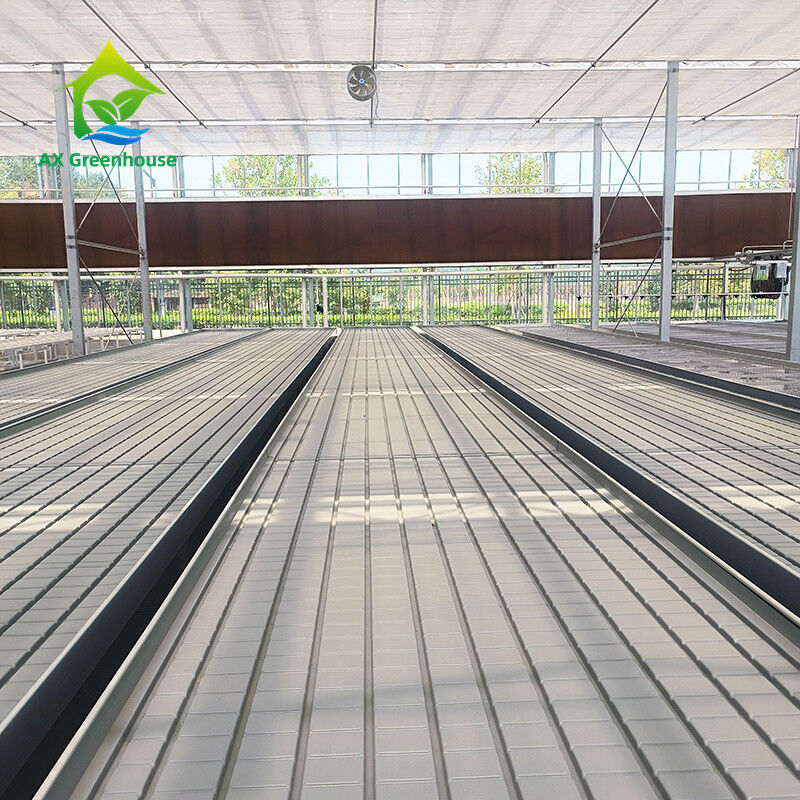 Gepersonaliseerde bloemen verbouwen binnen zaadbed kinderopvang verbouwen tafel rollende bank te koop