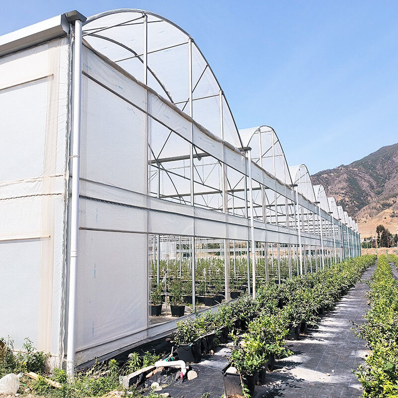 UV-bestendige 30x10m Plastic film kas voor tomaten en groenten met film