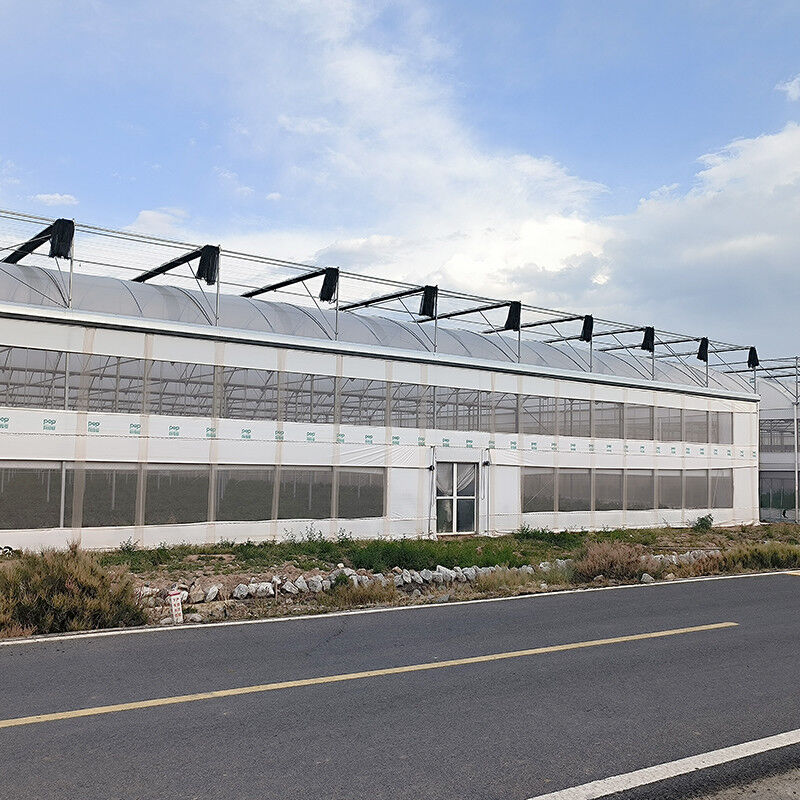 Staalstructuur Landbouw Poly Tunnel Zwarte schaduw Multi-span kas met optionele koelsysteem