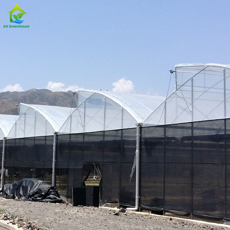 Staalstructuur Landbouw Poly Tunnel Zwarte schaduw Multi-span kas met optionele koelsysteem