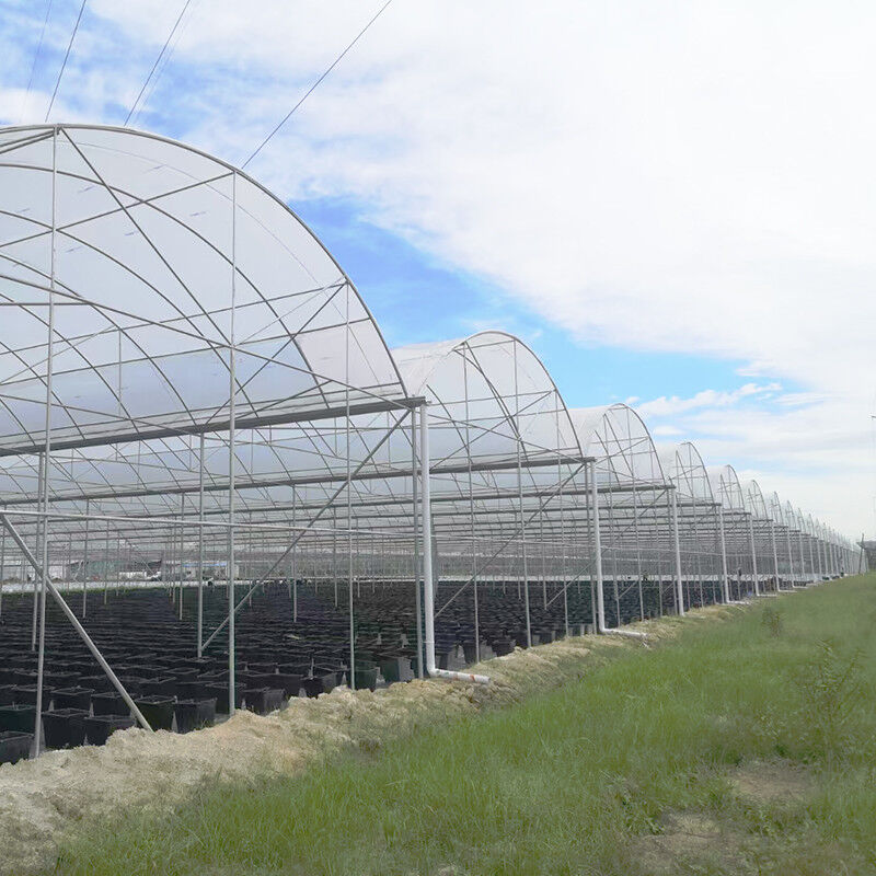 UV-bestendige 30x10m Plastic film kas voor tomaten en groenten met film