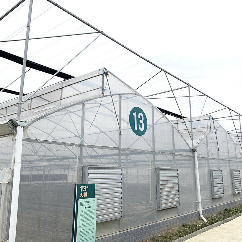 Staalstructuur Zaagtand Polyfilm Lage Tunnel Landbouw Multi-span kas voor duurzame groentenproductie