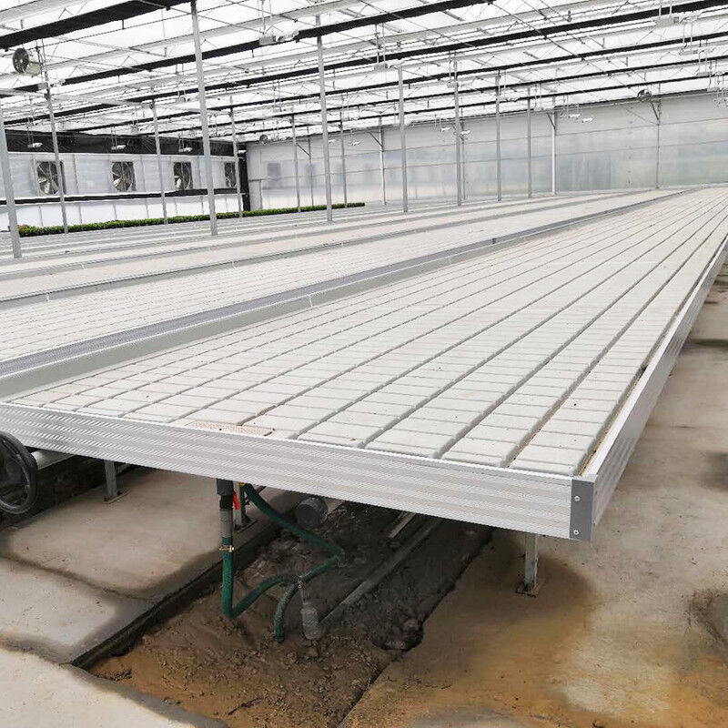 Groentehuis Hydroponische bodemloze cultuur Ebb Flood Grow Table Seedbed Rolling Bench Voor sla