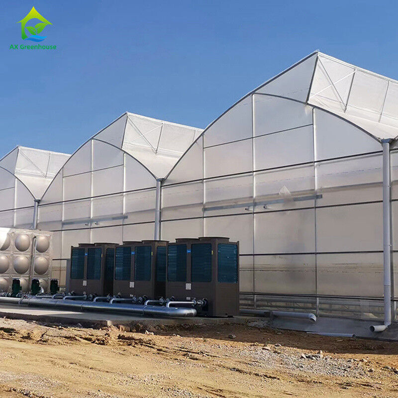 Plastic UV Film Poly Tunnel Landbouwschoentand Multi-span Custom kas te koop