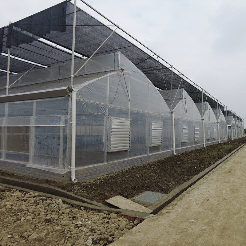 Plastic UV Film Poly Tunnel Landbouwschoentand Multi-span Custom kas te koop