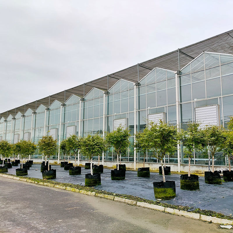 Warm gedompelde gegalvaniseerde staalstructuur Automatische ventilatie Landbouwglas Venlo Meervoudige tomatenzaadkas