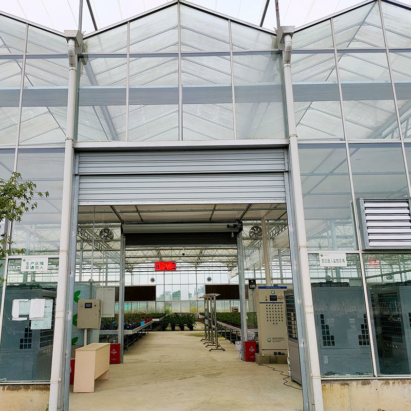 Warm gedompelde gegalvaniseerde staalstructuur Automatische ventilatie Landbouwglas Venlo Meervoudige tomatenzaadkas