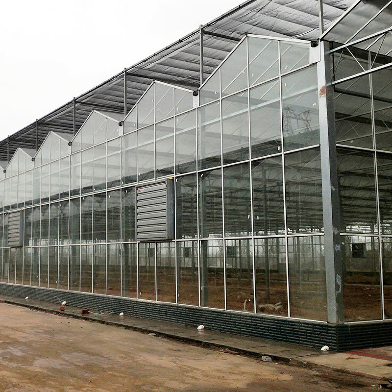 Venlo Type Landbouwglazen Kas Geharde Panelen Gegalvaniseerd Stalen Frame voor Komkommerteelt