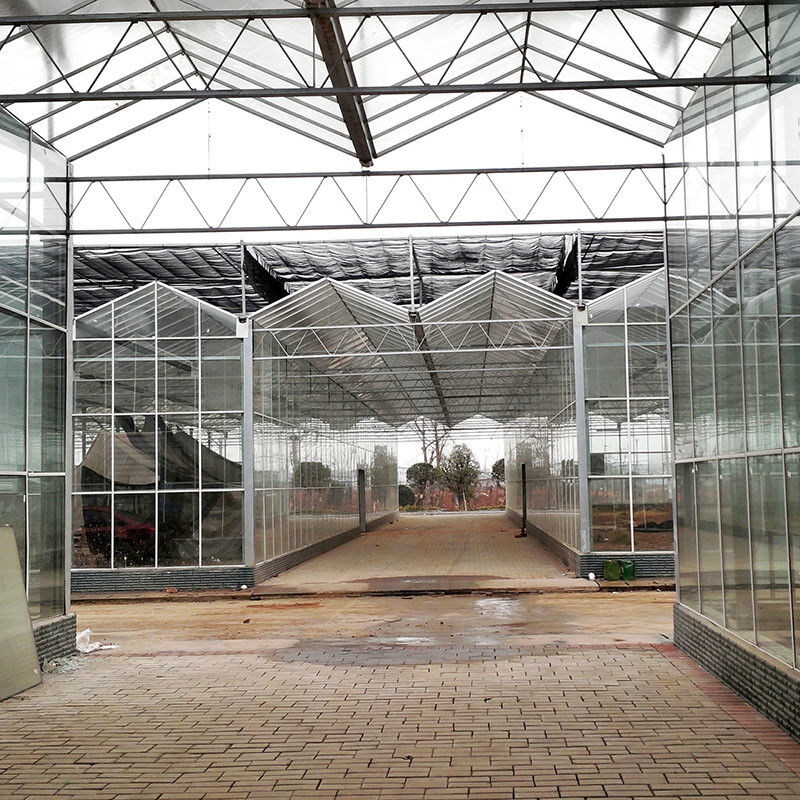 Slimme landbouw Venlo-type Landbouw Tempered Glass Grote tunnel Multi-span kas