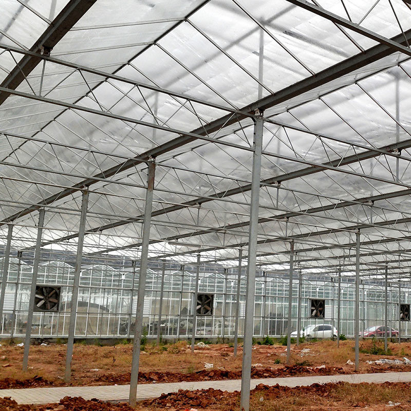 Automatische ventilatie Landbouwglas Venlo Grote tunnel Tomaten kasten met koelsysteem pad en ventilator systeem