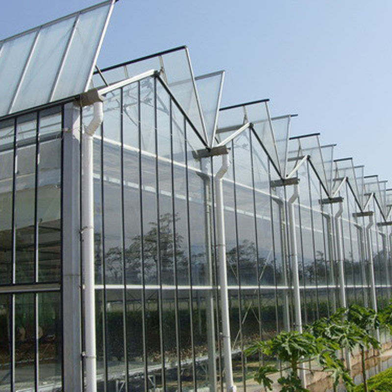 Automatische ventilatie Landbouwglas Venlo Grote tunnel Tomaten kasten met koelsysteem pad en ventilator systeem