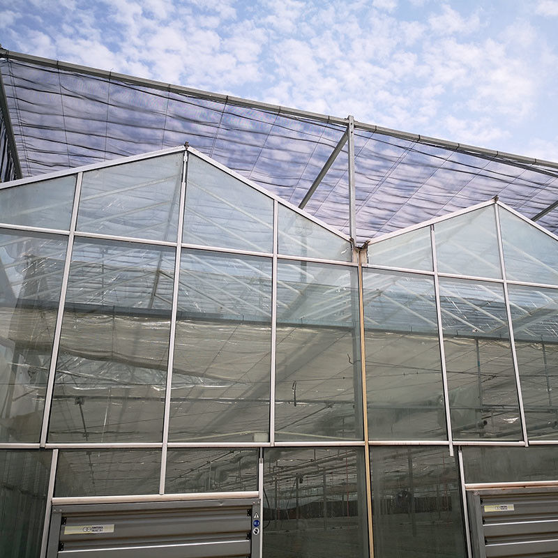 Automatische ventilatie Landbouwglas Venlo Grote tunnel Tomaten kasten met koelsysteem pad en ventilator systeem