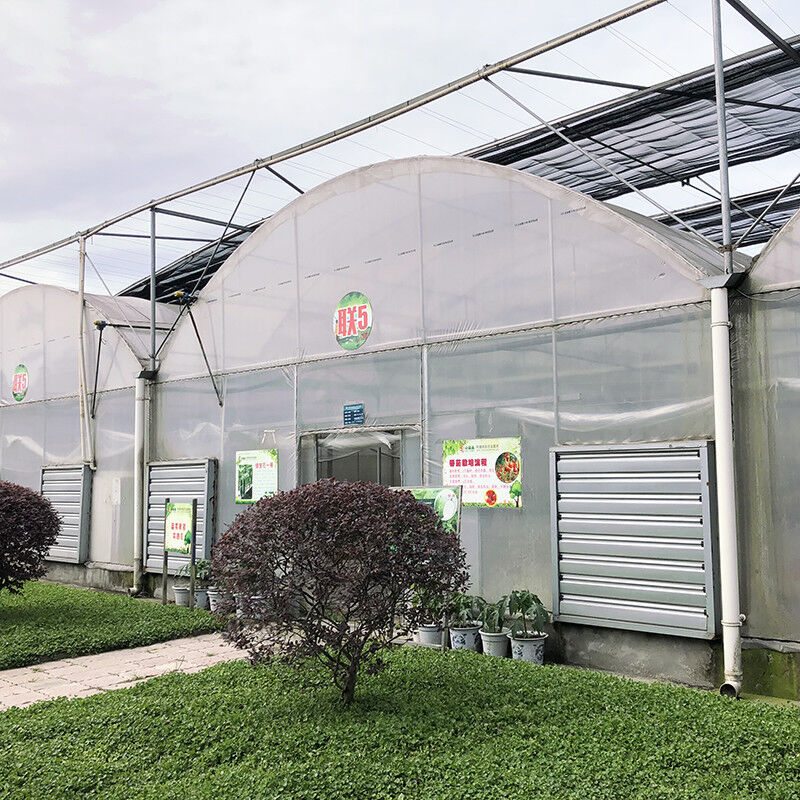 Duurzaam op maat gemaakt poly-tunnel multi-span film landbouwkas voor bloemen