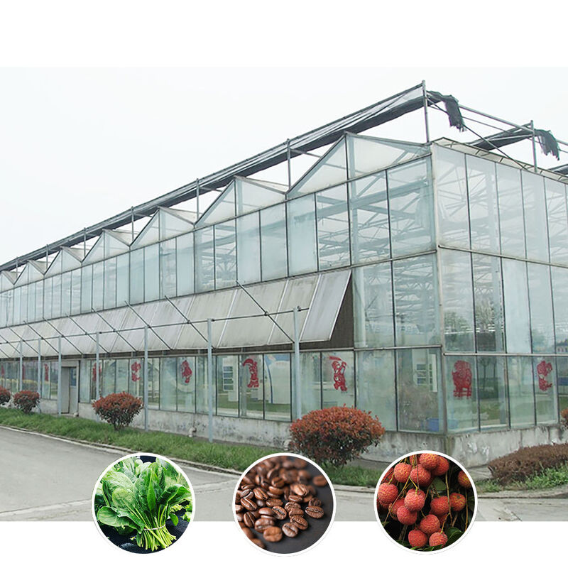 All-Weather Farming Solution Stable Structure Kas met warm gedompeld gegalvaniseerd staal en commercieel glas