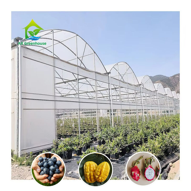 Duurzame Multi-Span Polytunnel Kas Zwaar uitgevoerde Stalen Wind- en Sneeuwbestendigheid Commerciële Boerderijen Kwekerijen