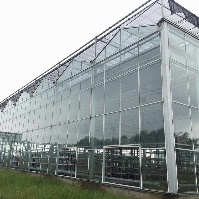 Venlo Type Landbouwglazen Kas Geharde Panelen Gegalvaniseerd Stalen Frame voor Komkommerteelt