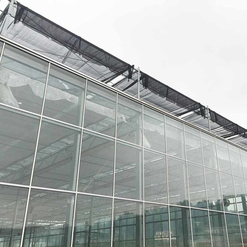 Landbouw Venlo Type Glazen Kas Nederlandse Techniek Gegalvaniseerd Frame voor Hydrocultuur