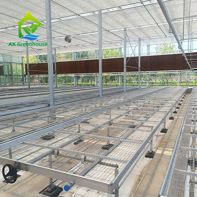 Aangepaste Roltafel voor Kassen met Eenvoudige Constructievoordelen en een Thermisch Verzinkt Stalen Frame